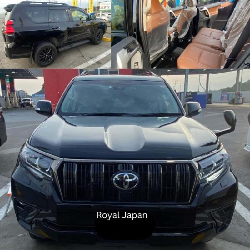 Nagano/ Tokyo: Snow Monkey Private Day Tour Fully Customised - FAQ