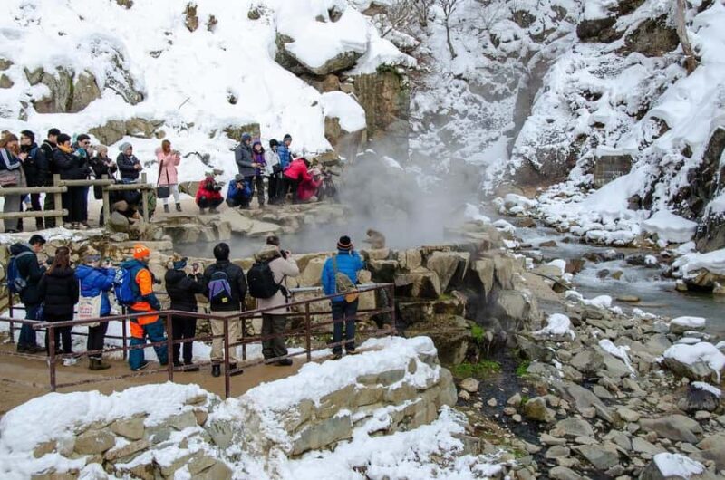 Nagano Tokyo: Snow Monkey Private Day Tour Hotel Pick & Drop - FAQ