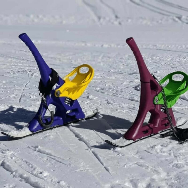 Nagano Tokyo: Snow Monkey, Zenkoji Temple Private Van Tour - FAQs