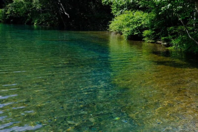 Nagano UNESCO Park: Emerald Acid Lake & Ghibli Onsen Town - The Itinerary: A Deep Dive into What Makes This Tour Special