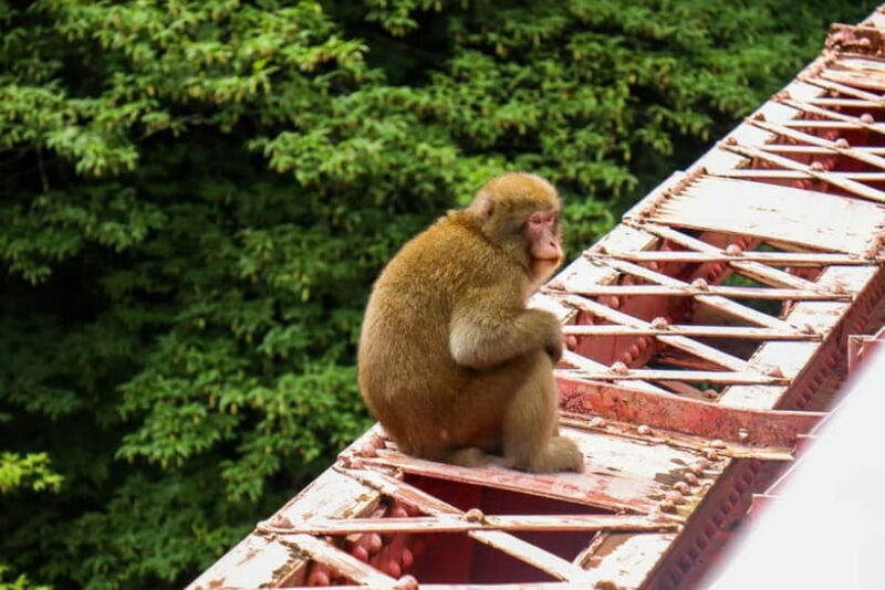 Nagano UNESCO Park: Emerald Acid Lake & Ghibli Onsen Town - FAQs