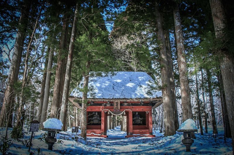 Nagano Winter Private Tour with a local guide (from November to May) - Togakushi and Zenkoji add a different kind of day