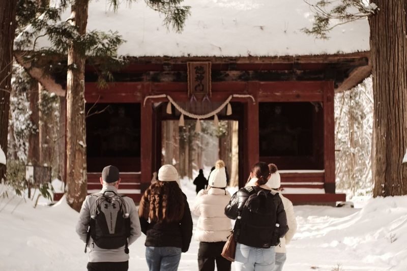 Nagano Winter Private Tour with a local guide (from November to May) - Is this the right Nagano tour for you?