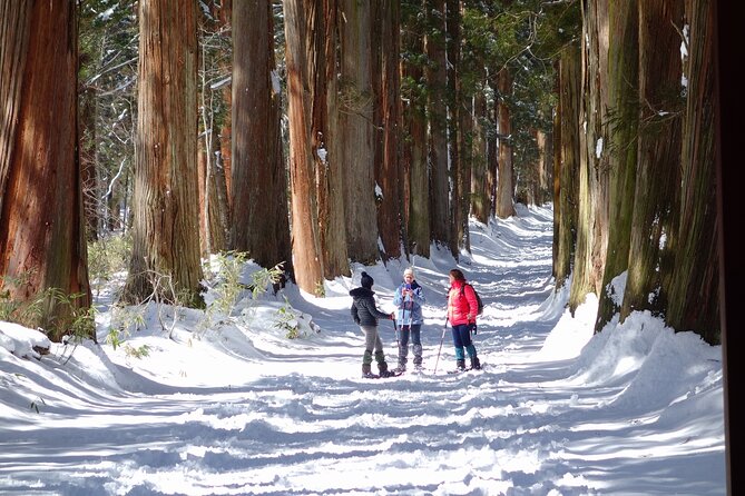Nagano Winter Special Tour "Snow Monkey and Snowshoe Hiking"!! - The Sum Up