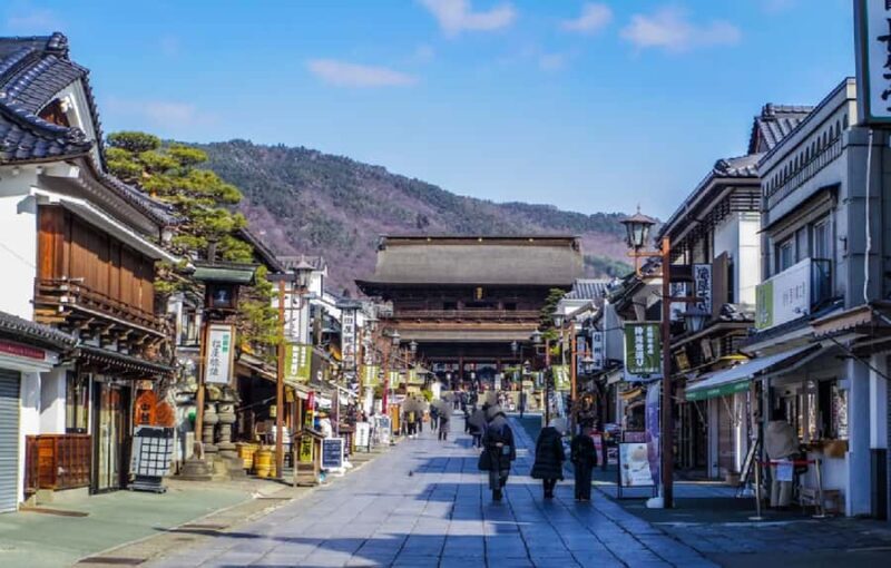 Nagano: Zenko-ji Temple, Snow Village & Monkey Park Tour - Authentic Insights from Reviews