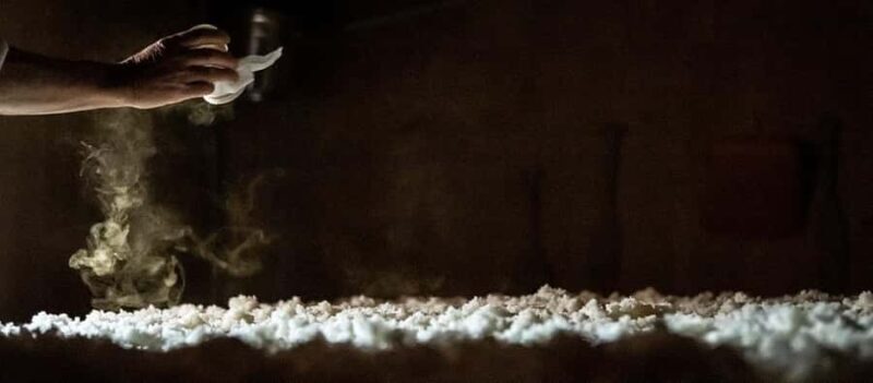 Nagaoka : Hasegawa Sake Brewery Tour and Tasting - What Reviewers Say