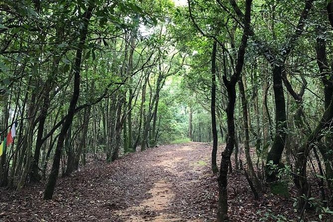 Nagarjun Day Hiking - What To Expect