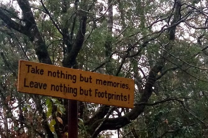 Nagarjun Hill View Point Hike Tour - Booking and Pricing Details for the Hike Tour