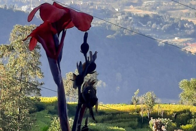 Nagarkot (2175m) Sunrise and Day Hike to Changunarayan Temple - What to Expect During the Sunrise at Nagarkot