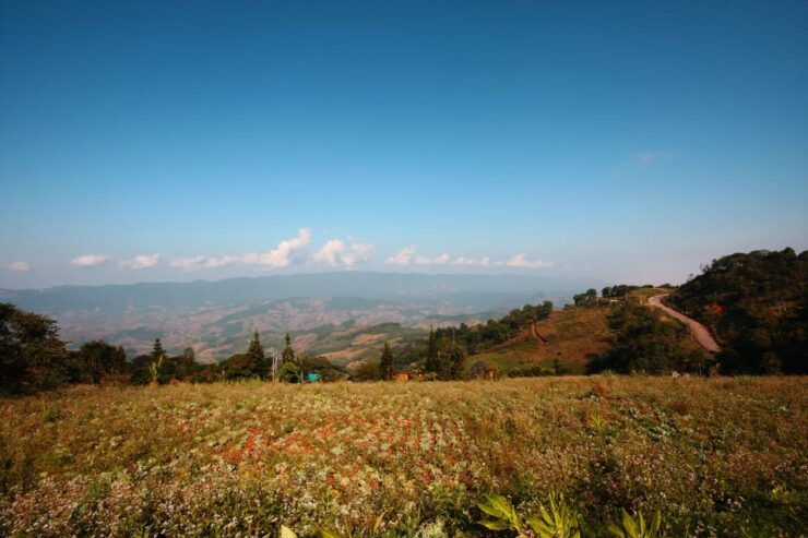 Nagarkot Hiking Tour - Key Points