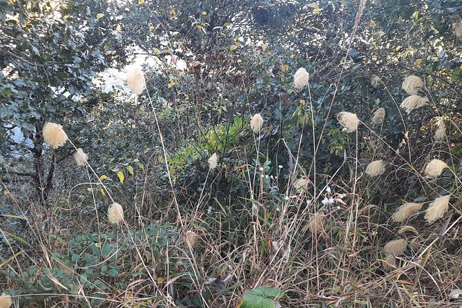 Nagarkot Sunrise and Day Hiking to Changunarayan - The Sum Up