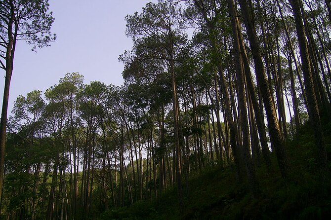 Nagarkot Sunrise Tour With Sallaghari: Changunarayan Hiking - Minimum Traveler Requirement and Refund Options