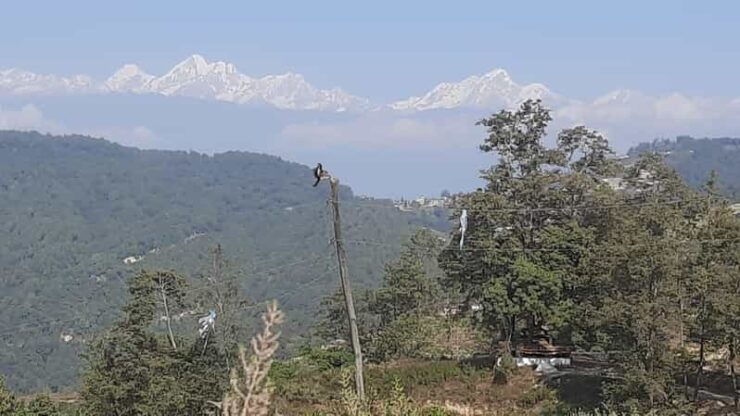 Nagarkot Sunrise View With Day Hiking From Kathmandu - Key Points