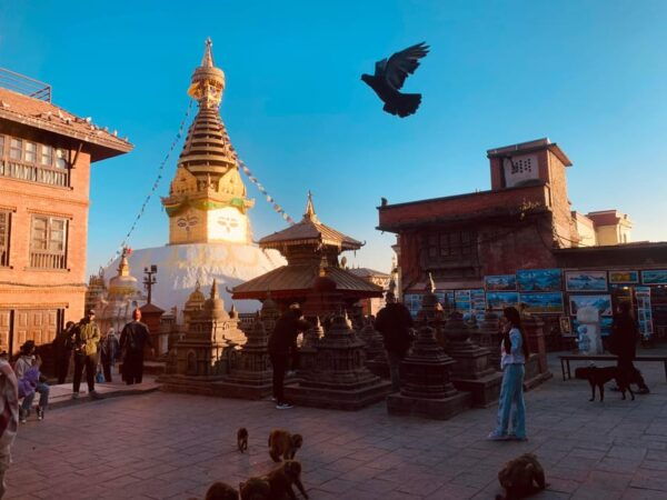 Nagarkot Sunrise With 7 UNESCO World Heritage Private Tour - Questions You May Have