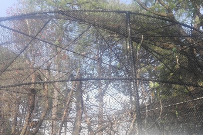 Nagarkot Sunrise With Day Hiking From Kathmandu - Customer Reviews and Ratings