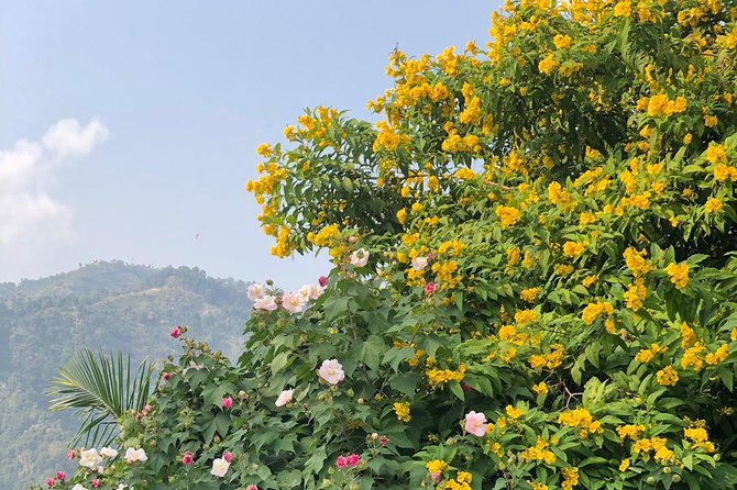 Nagarkot Sunrise With Day Hiking From Kathmandu - Tips for a Memorable Experience