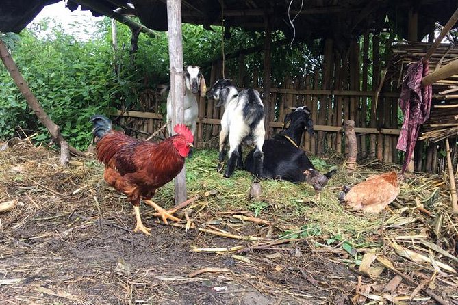 Nagarkot to Changu Narayan Day Hiking From Kathmandu - Common Questions