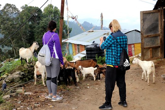 Nagarkot to Chisapani Trek Around Kathmandu - 3 Days - Common Questions