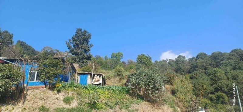 Nagarkot Zipline Day Tour - Who Is This Tour Best For?