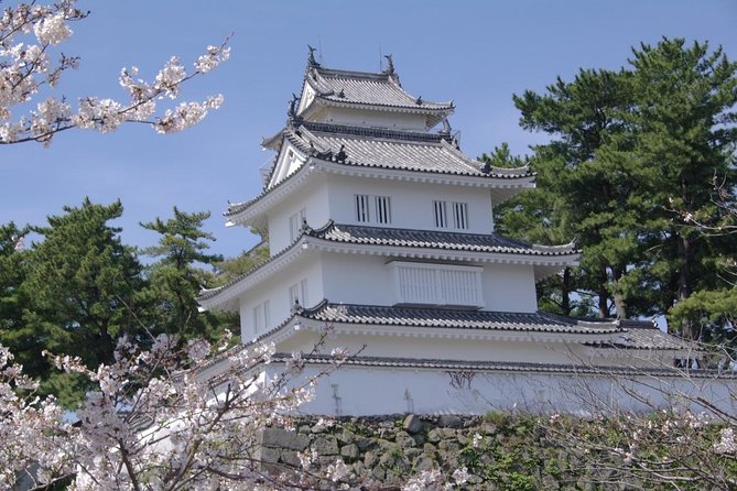 Nagasaki City to Nagasaki International Airport Private Departure Transfer - Private Transfer Service Details