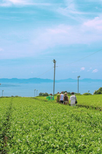Nagasaki: Explore Japanese Teas on a Tea Tour - Frequently Asked Questions