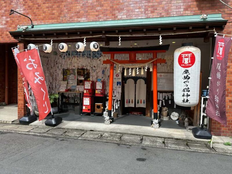 Nagasaki: Hidden Alleys and Finding Local Cats Walking Tour - Visiting the Cat-Themed Souvenir Shop