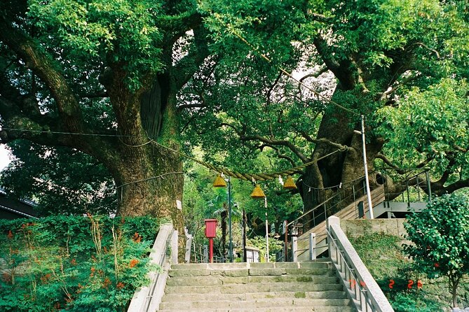 Nagasaki Peace Park and Atomic Bomb Museum - Transportation Options