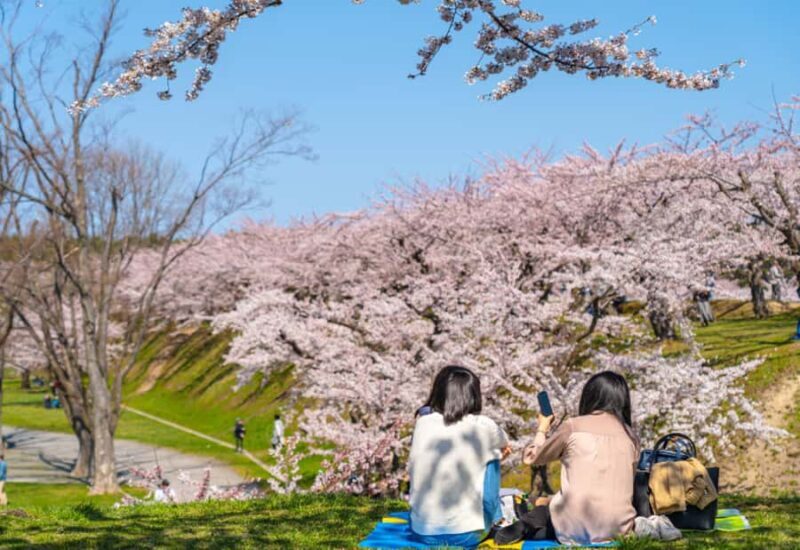 Nagasaki: Private & Custom Cherry Blossom Tour with a Local - Who Should Consider This Tour?