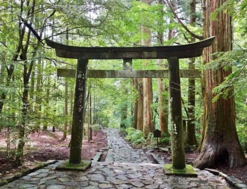 Nagasaki: Private Full-Day Peace and History Tour - Parks and Cultural Landmarks