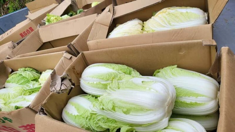 Nagasaki Sasebo: Traditional Cooking Class in Japanese House - Good To Know