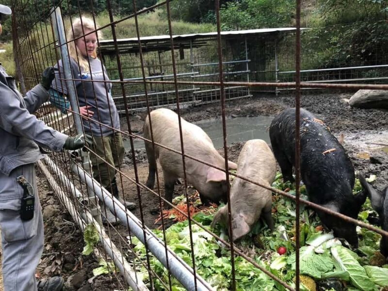 Nagasaki Sasebo: Traditional Cooking Class in Japanese House - Who Will Love This Tour?