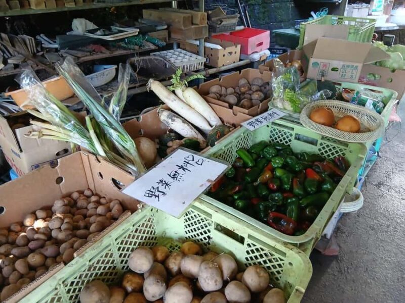 Nagasaki Sasebo: Traditional Cooking Class in Japanese House - Final Thoughts