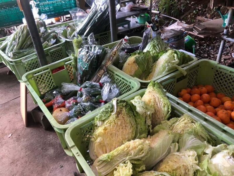 Nagasaki Sasebo: Traditional Cooking Class in Japanese House - Good To Know