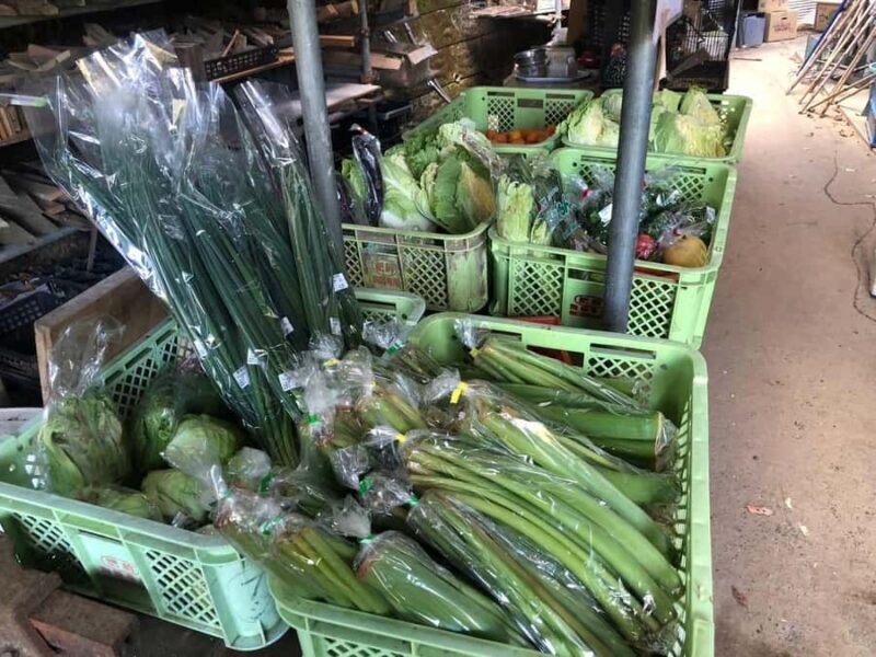 Nagasaki Sasebo: Traditional Cooking Class in Japanese House - A Closer Look at the Cooking Class Experience