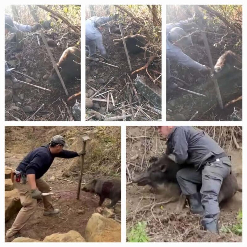 Nagasaki Sasebo: Traditional Cooking Class in Japanese House - Who Will Love This Experience?