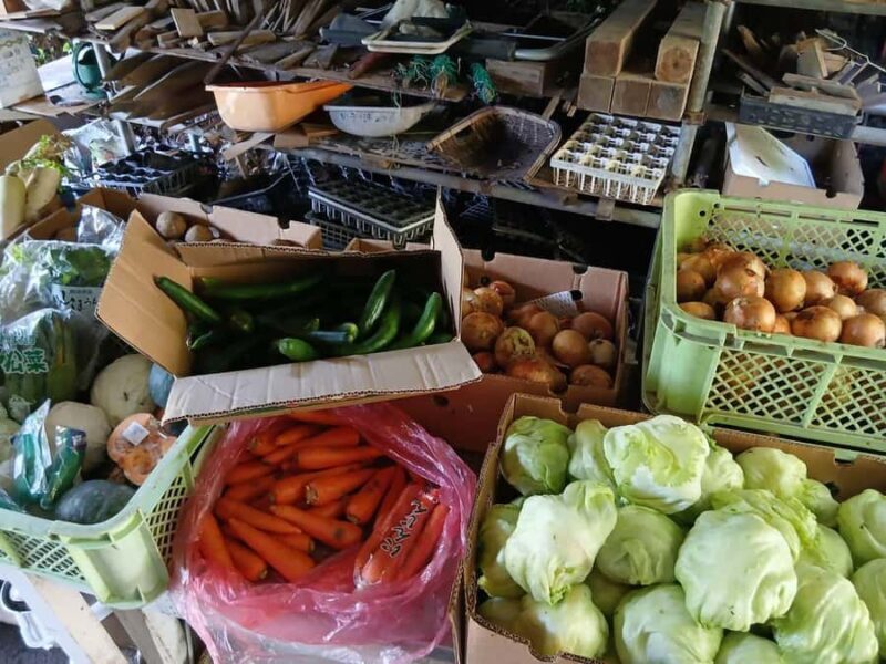 Nagasaki Sasebo: Traditional Cooking Class in Japanese House - The Sum Up