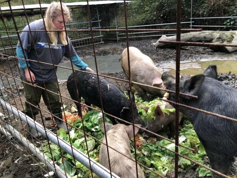 Nagasaki Sasebo: Wild Boar Miso Soup Dinner with Locals - Connecting with Locals and Learning about Rural Life