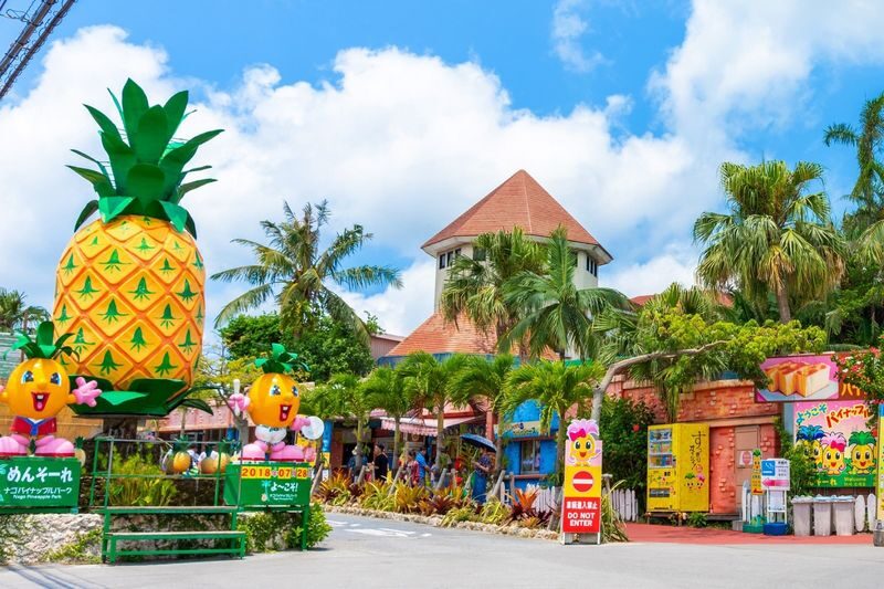 Nago Pineapple Park Ticket in Okinawa - The quick case for Nago Pineapple Park