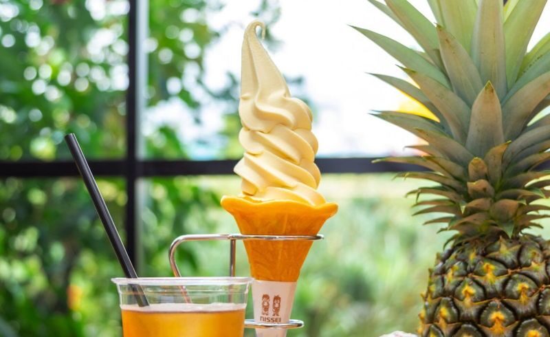 Nago Pineapple Park Ticket in Okinawa - Who will enjoy it most