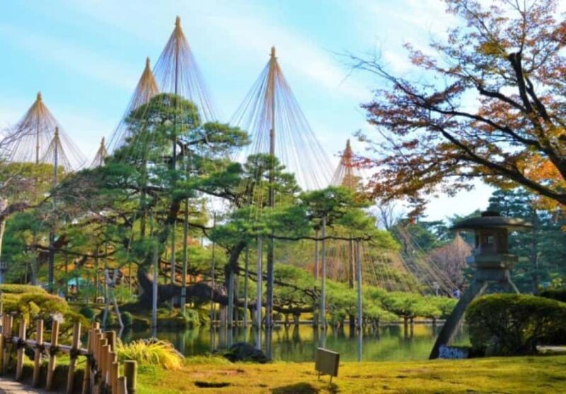 Nagoya: 2-Day Shirakawa-go, Kanazawa & Takayama Tour - Final Thoughts