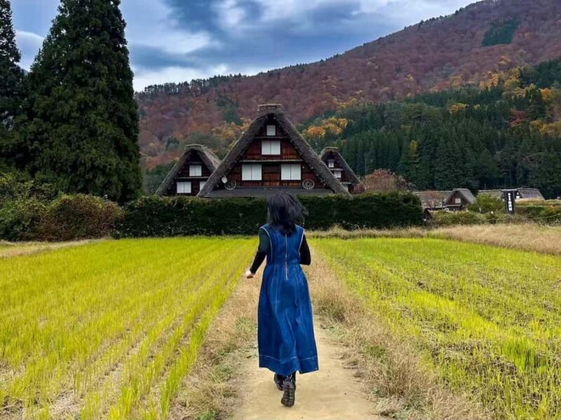 Nagoya: 2-Day Shirakawa-go, Kanazawa & Takayama Tour - Nagoya: 2-Day Shirakawa-go, Kanazawa & Takayama Tour — A Complete Guide