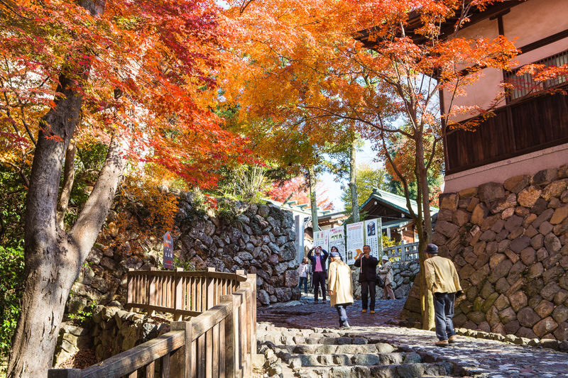 Nagoya 4 Historical Sites Full-Day Tour with Edo Charm - Guide language and the castle ticket