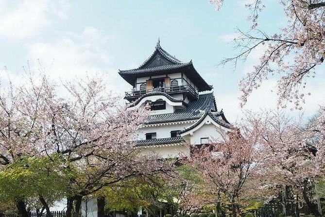 Nagoya / Aichi Half-Day Private Custom Tour With National Licensed Guide - Cancellation Policy and Refund Details