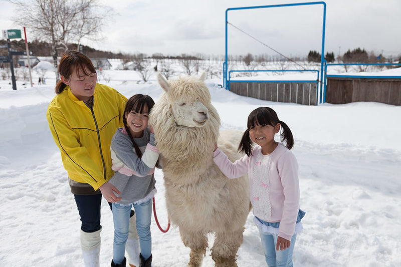 Nagoya Bokka no Sato Full-Day Family Adventure with Hot Springs - What the Price Covers, and What It Does Not