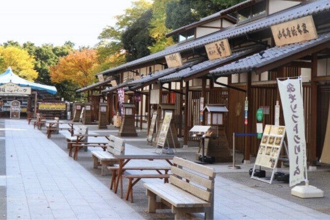 Nagoya Castle and Local Flavor Samurai Tales and Street Food Walk - Who Is This Tour Best For?