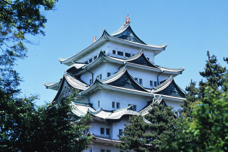 Nagoya Castle Ticket - What your Nagoya Castle ticket includes