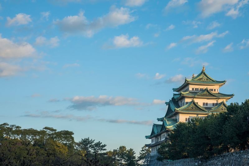Nagoya Castle Ticket - Start with the golden shachi and the keep exterior