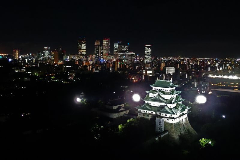 Nagoya Castle Ticket - Use the grounds to connect the sights