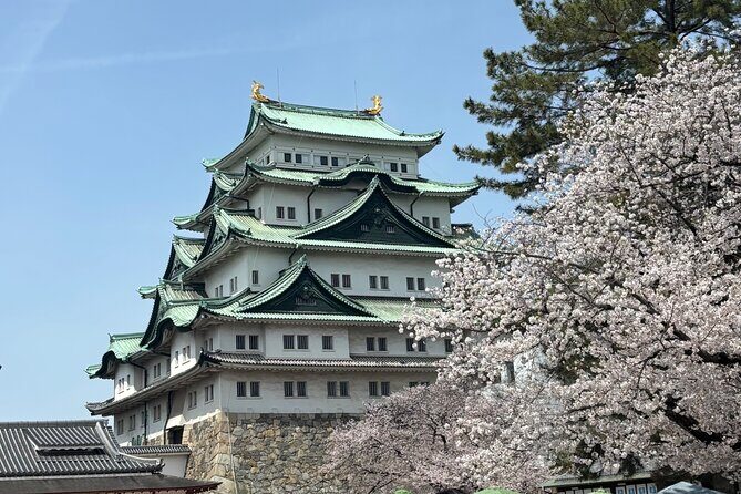 Nagoya Castle Walking Tour - Nagoya Castle Walking Tour: A Practical Look at Japan’s Historic Landmark