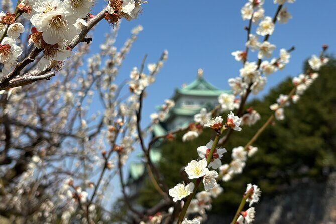Nagoya Castle Walking Tour - FAQ  
